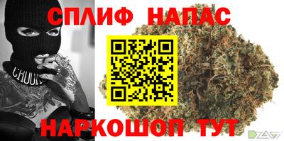 ГАЛЛЮЦИНОГЕННЫЕ ГРИБЫ Ачхой-Мартан