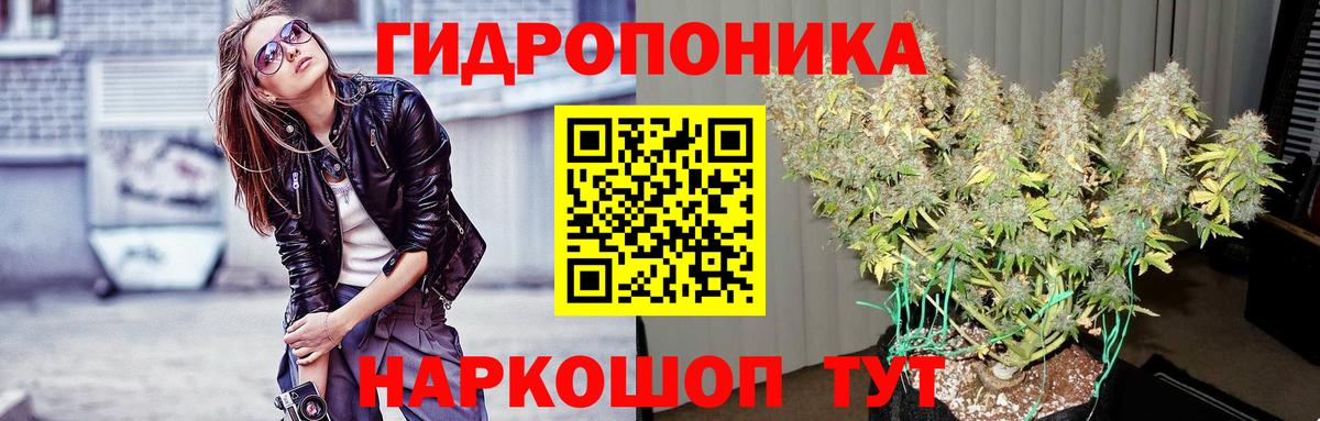 Конопля ГИДРОПОН  Вход с VPN  Бошки Шишки конопля  Ефремов 